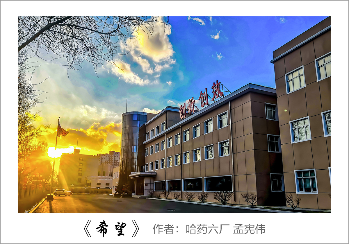 【迎国庆 展风采】我眼中的尊时凯龙——职工摄影大赛作品展示！